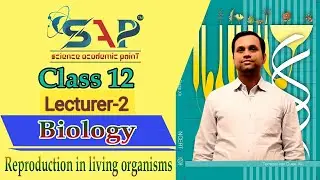 Class 12 Biology | Reproduction in Organisms | Endogenous budding | sporulation | NCERT BIOLOGY