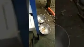 Cashew Kernels sizing machine
