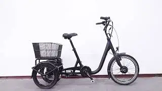 Large capacity adult electric bike 3 wheel cargo electric trike with Shimano nexus 3 hub