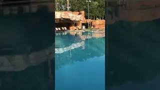 Main Pool at the Disney World Swan and Dolphin Hotel