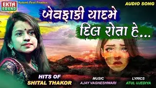 Shital Thakor || Bewafaa Ki Yaad Me Dil Rota Hai || Hits Of Shital Thakor Hindi Songs || Ekta Sound