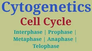 Cytogenetics UGC Part 1 | Cell Cycle: Interphase, Mitosis, Cytokinesis, DNA Replication