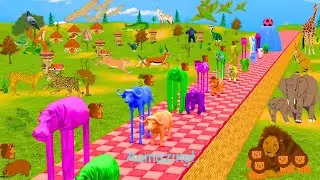 Long Slide Game with Elephant Gorilla Buffalo Hippopotamus Tiger 3d Animal Game Aamazing Fun Animals