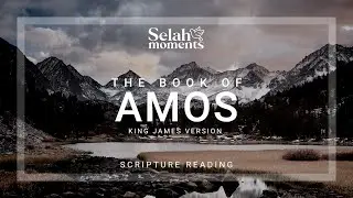The Book of Amos | KJV Audio Bible #selahmoments #audiobible #KJV