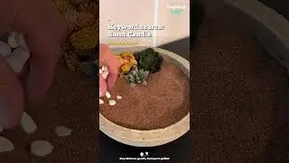 ✨Cozy Sand Candles: Rock & Plant Decor for Tranquil Vibes 🏞️ Link in my bio!