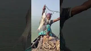 Exclusive fishing method by old man 5 #fishinglife #fishermen #fishbait