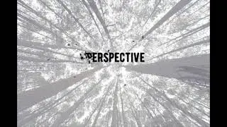 Perspective - The Soulosophy Podcast