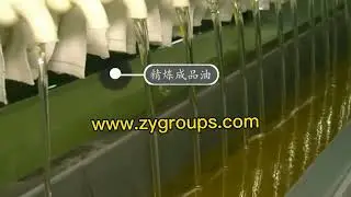 Large grape seed extraction oil machine -  Refining oil production line - Palm Oil Making Machine