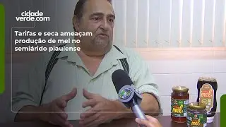 ⁠Tarifas e seca ameaçam produção de mel no semiárido piauiense