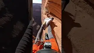 Heart-Stopping Moment: Climber Rescues Baby Fawn Trapped on Cliff Edge! #animalrescue  #wildlife