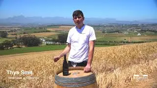 Meerendal Moments - Heritage Vineyards for the New Generation  Loft | Video 18