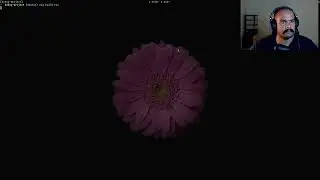 More Font rendering | Handmade Hero (Zig|Linux) | Day 163