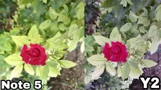 Redmi Y2 Camera Review & Compare with Note 5