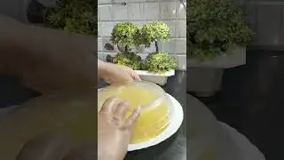 orange 🍊 jelly #trending #viral #shots #orange