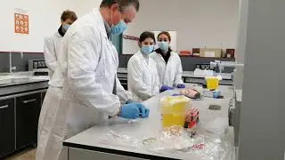Test gruppi sanguigni 1