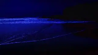 11 Hours of Dark Beach Ocean Waves 🌙 Deep Sleep, Insomnia Relief & Calm Night Sounds