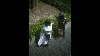 Doctor and Priestess caught dancing under the stars #arknights #video #shorts