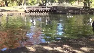 Tulsa Parks 10 31 2022 13