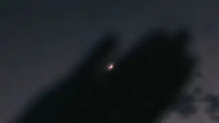 One With The Stars 