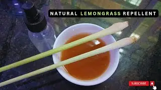 Say Goodbye to Mosquitoes with This Natural Lemongrass Repellent