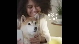 CUBE-PETS intro