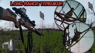 BERBURU TERKUKUR DAN TES LONG RANGE DENGAN BOCAP FX CROWN FULL UPGRADE 