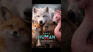 Fox, Wolf, Capybara, and Flamingo location Version 2.3.1 in Once Human game
