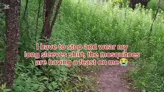 Hiking at Oak Ridges Corridor Conservation Reserve in North York