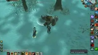Northrend Rares: Crazed Indu'le Survivor