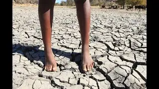 Global Development Commons (GDC) Youth Webinar Series - Climate Change