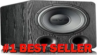 SVS PB 1000 Pro Ported Subwoofer (Premium Black Ash) - B08X4ZRQC4