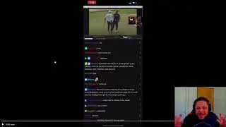 My Thoughts on the Daltoosh Racist Comment Situation Apex Legends PC