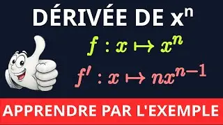 Dérivée de x puissance n | Apprendre par l'exemple
