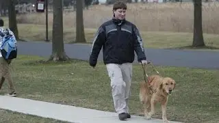 Almanac: Seeing eye dogs