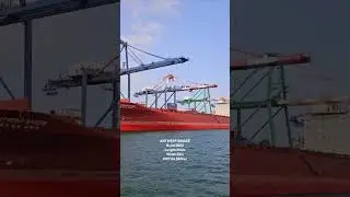 ⚠️Red color huge vessel⚠️ #harbor #seaman #containership #pilot #merchantship #ship #vessel