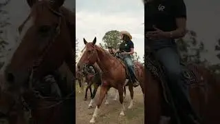 Lone Palm Ranch - Pinellas Park, Florida #shorts