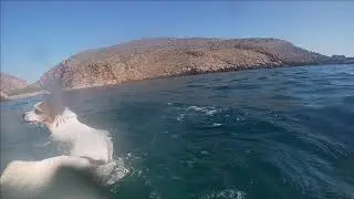 Ruta bajada a cala cerrada, buceo y ba&ntilde;o con cati