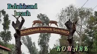 Balukhand beach , Konark,Puri
