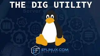 The DIG Utility