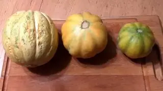 Zatta and Noir des Carmes melons