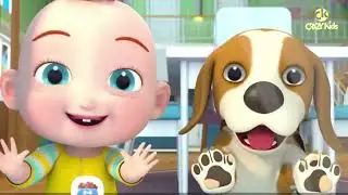 kids play with dog || kids funny video cartoon video for kids || Jojo play game