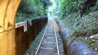Bush Tramway in the Waitakeres