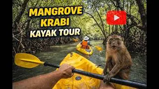 Mangrove Kayaking Krabi | Mostly uncut &bull; Thailand