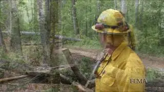 Chainsaw Safety - Storm Debris