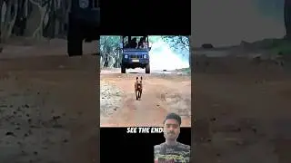 LEOPARD 🐆 CHESING DOG 🐕 WITH JUNGLE THE ROAD #animals #leopard #dog #shortvideo #viralvideos #viral