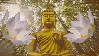 Calming Drone Music for Meditation. 3 Hour Continuous Soundscape, No Ads. Meditate, Yoga, Relax, 4K.