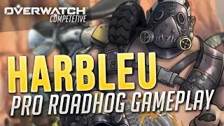 (Top 500) coL Harbleu Pro Roadhog Gameplay