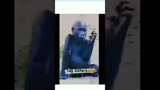 jab phone 📱 ka saara data khatam ho jaye tab meri bahan 🤣🤣 #video #funny #comedy #youtube