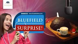 Bluefield&rsquo;s Secret Surprise Cake! 🎂