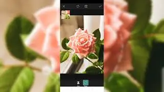 Kelas Master Pengeditan Warna Potret HDR Photoshop | Tampilan 4K Canon R5🔥#n925k#1043